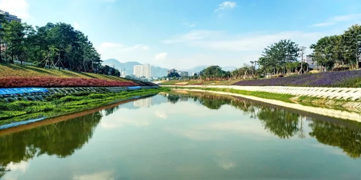 深圳坪山河综合整治及水质提升工程